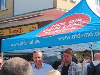 Germany’s Afd in Saxony-Anhalt