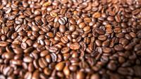 Philippine coffee production may fall below 30,000 metric tons by 2026