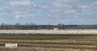 Missouri Department of Conservation warns about bird flu; Safety tips