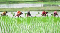Agri-focused NABVENTURES targets growth-stage rural businesses with Fund II