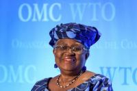 WTO chief sees lasting impact on trade from Middle East war, geopolitics