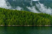 Protect This Place: Coastal Douglas-Fir Forest of Southwestern British Columbia