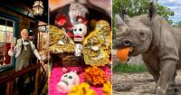 Milwaukee With Kids weekend guide: Streets Alive, Day of the Dead and more