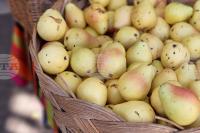 Industry Representatives Call for Fair Conditions in Agri-Food Supply Chain