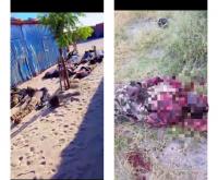 Up to 20 Security Personnel Reported Killed as ISWAP Hits Military Base in Borno’s Mairari; Army Yet to Confirm Toll