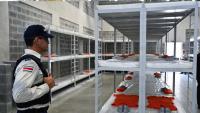 Costa Rica Inaugurates Maximum-Security Prison Inspired by El Salvador’s CECOT