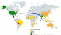 How One Wild Peanut Changed Breeding Around the World