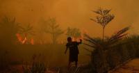 East Timor shuts schools as Indonesia wildfire haze intensifies
