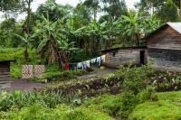Congo Ebola Outbreak Surpasses 9,000 Cases as Fear Keeps Women and Children Away From Hospitals