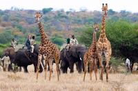 Demand for trips to Africa among Russians soars — ATOR