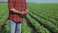 Minnesota Soybean Research & Promotion Council seeking research proposals