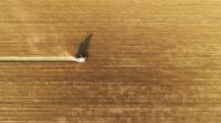 Study: European Agricultural Competitiveness Falls Behind Rivals