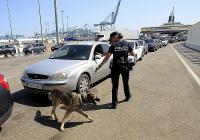 Forty migrants arrested in Ceuta for attempting to travel to Spain's mainland using other people's identity documents