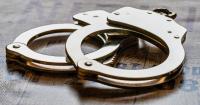 Georgia police chief arrested for theft