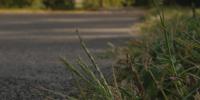 Free to Move wrapping up Nashville greenway audits two years after Alyssa Lokits’ murder