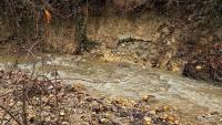 How should DC fix this eroding stream? NPS wants your input The National Park Service is seeking public feedback on plans to restore Pinehurst Branch, a stream in Northwest D.C. near the Maryland border that is experienc