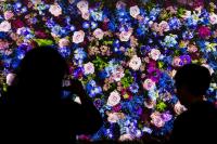 The Pennsylvania Horticultural Society announces the 2027 Flower Show theme and ticket prices
