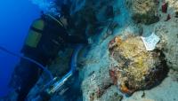 4700 year old shipwreck found off the Coast of Turkey