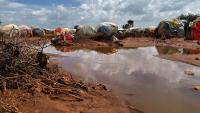 Who will be most affected by El Niño? How to help