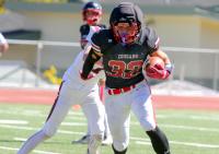 Cougar football runs wild in convincing win over St. Francis | Weeklys Sports Roundup