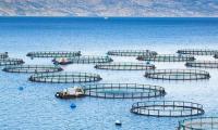 Call for promotion of aquaculture across Africa