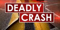 New Mexico woman dead after head-on crash on U.S. 54 in Ford County