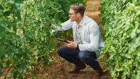USDA Awards $86.6M in Specialty Crop Block Grants