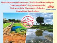 Ujani Pollution : NHRC issues summons to MPCB Chairman and Maharashtra Health Secretary
