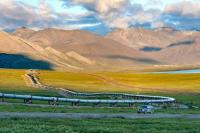 Alaska ranked 8th in country for tire damage risk