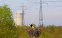 Louisiana regulators want ratepayers to finance nuclear ‘exploration’