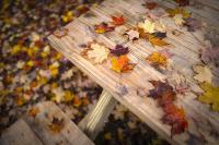 After a stormy week, cold arrives and much of Vermont passes peak foliage