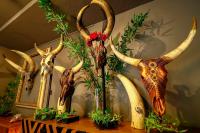 Nairobi artist turns discarded cow skulls into collectible art