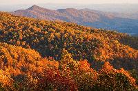 FSU Expert Breaks Down the Rise of Trendy Fall Travel