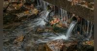 Capital Region Water asks Pennsylvania to pay stormwater fees