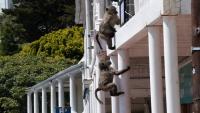 Cape Town Prepares to Capture 60 Simon's Town Baboons for a Fenced Center as Protests Continue
