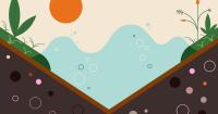 How to capture rain in your garden this fall and beyond