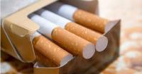Illicit economy in SA developing parallel to existing legal economy, warns CGCSA exec