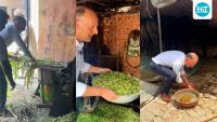 German official visits Indian village, feeds animals; internet abuzz as embassy shares video