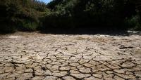England issues severe drought declaration following driest months in a century