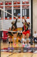 Girls Volleyball: Le Roy Sweeps Warsaw on Senior Recognition Night