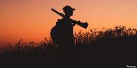 Texas Parks and Wildlife estimate upcoming quail hunting season to be high quality