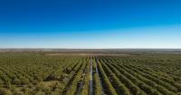 Texas receives $2 million in USDA funding to support specialty crops