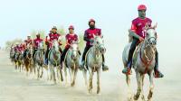 85 horses launch Oman’s new endurance riding season
