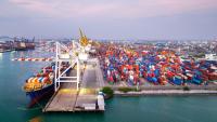 Report underlines value of WTO committee in helping resolve market access trade concerns