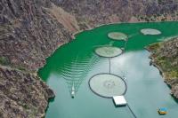 Xinjiang’s Salmon Farms: Investigative Journalism or Political Smear?