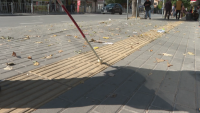 On International White Cane Day: Blind People in Varna Call for More Accessible Urban Environment