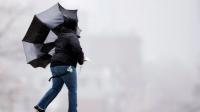Environment Canada warns of 'damaging' winds on the Avalon, Bonavista peninsulas Thursday morning