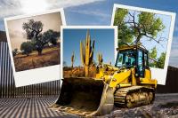 Border Wall Construction Threatens Old-growth Trees In Arizona