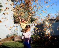 Seasonal Yard Tasks Send Wyomingites To Emergency Rooms Each Year