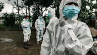 Dengue Fever in Florida: How Travelers Can Stay Protected